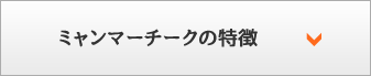 ミャンマーチークの特徴